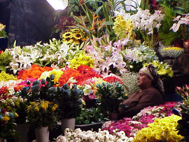   Flower sellers Bosphorous      